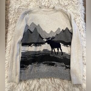 Abercrombie Kids Winter Sweater - Moose - Boys 11/12